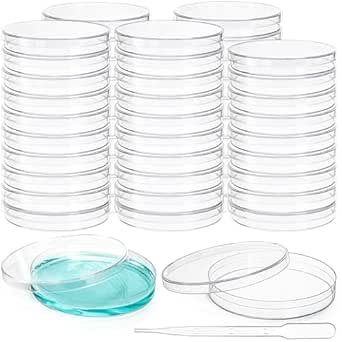 [LMAT171] Placas de Petri, Ø55 mm, PS, con 3 vientos, estéril, 500 uds